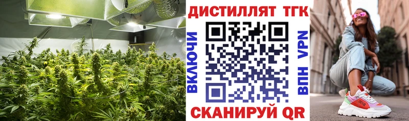 ТГК гашишное масло  Ясногорск 
