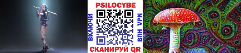 Псилоцибиновые грибы Psilocybe  купить наркотик  Ясногорск 